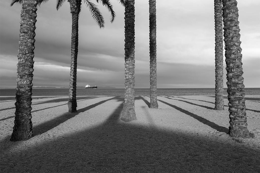 Blanco-y-negro