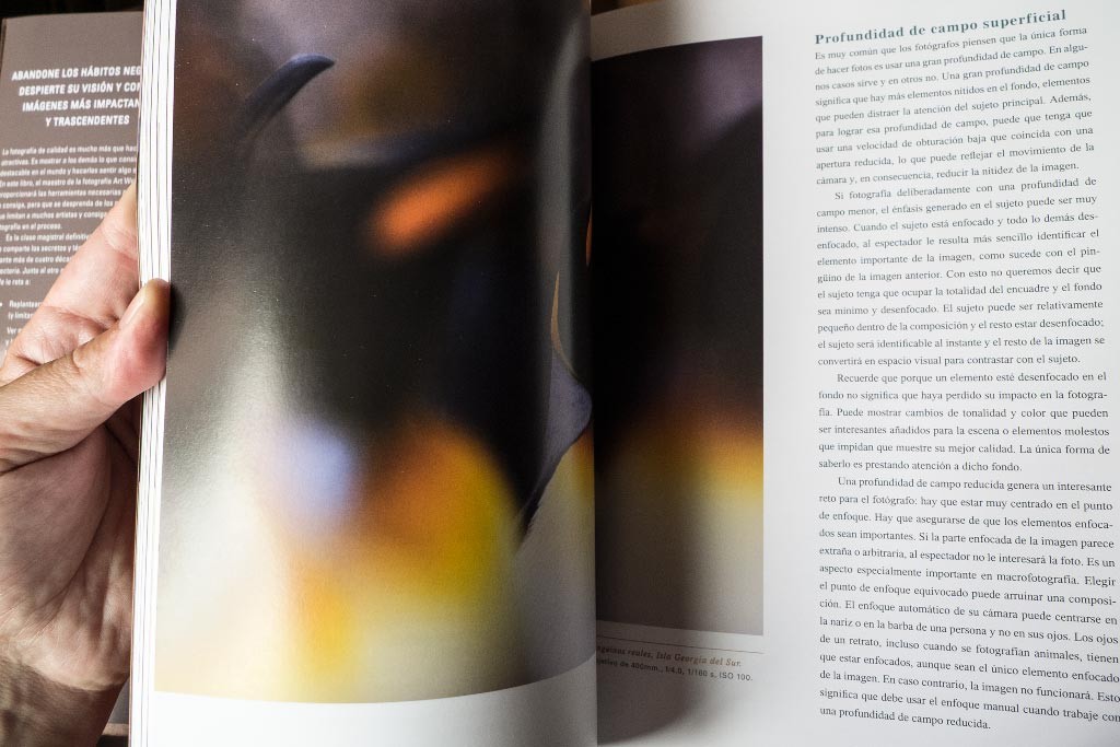 El-arte-de-la-fotografía