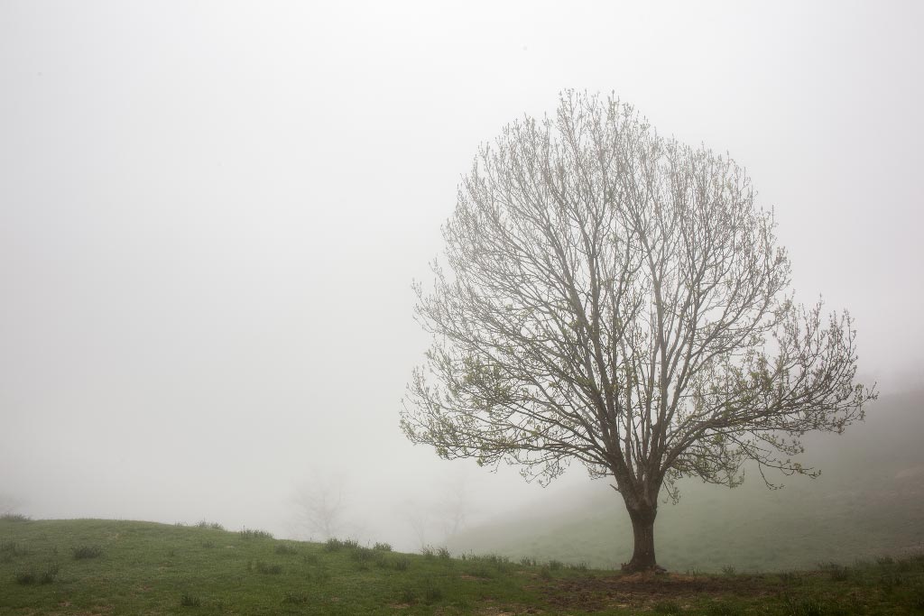 Asturias