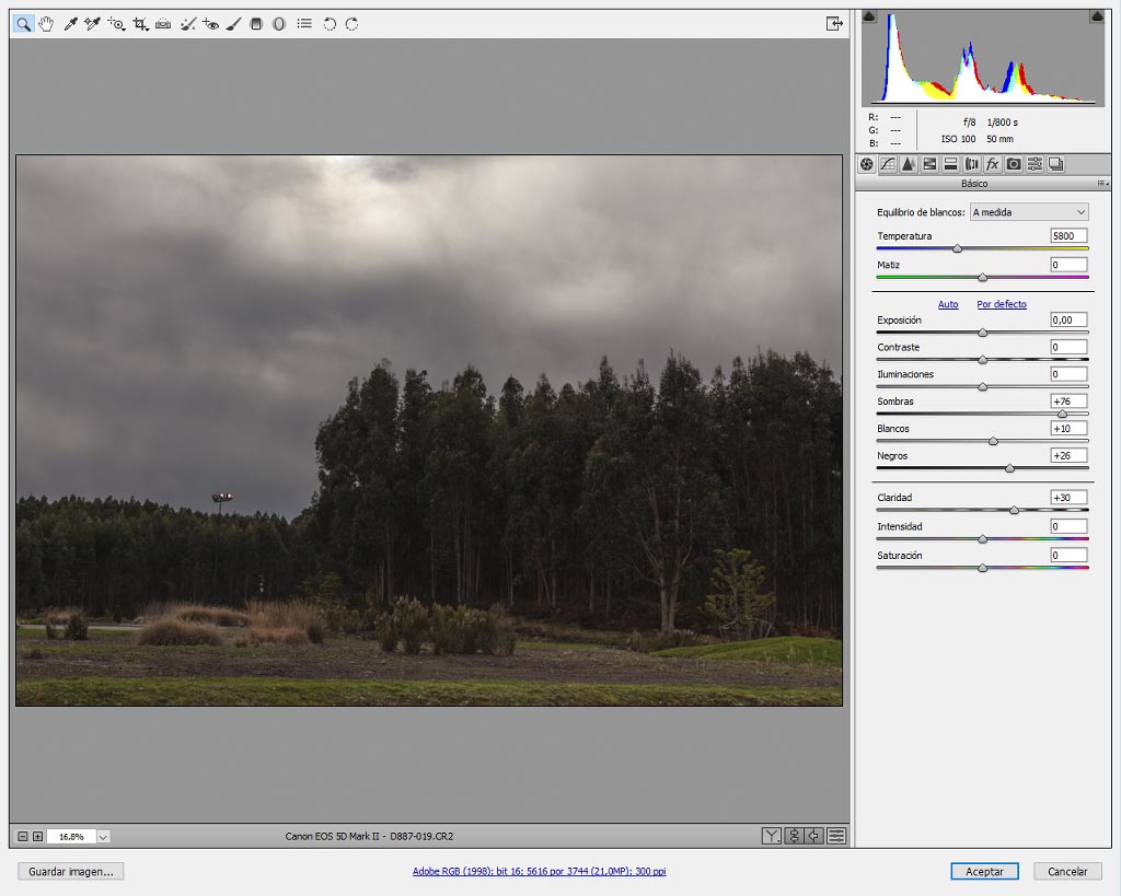 Adobe Camera RAW