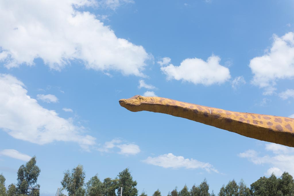 ISO 200 f5,6 1/680
