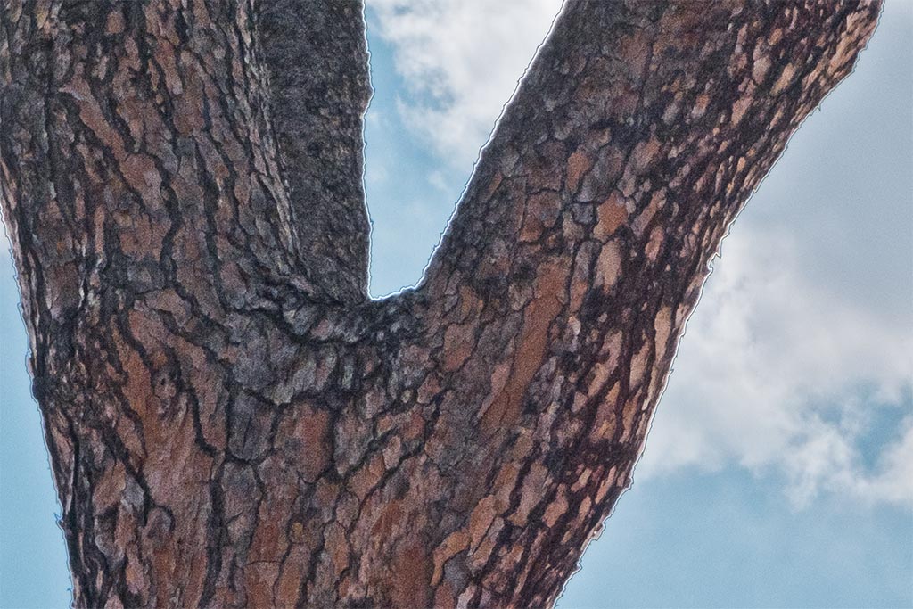 Detalle de Claridad con Adobe Lightroom 2010