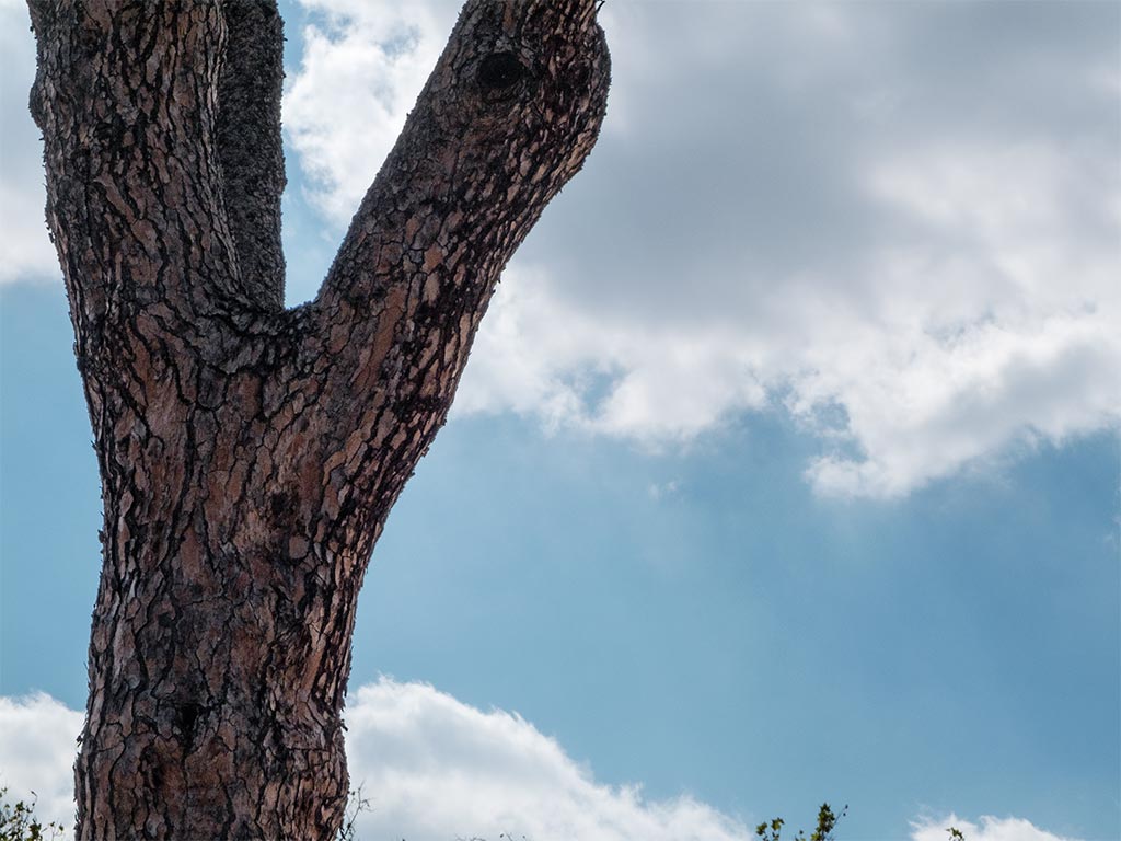 Lightroom-2010