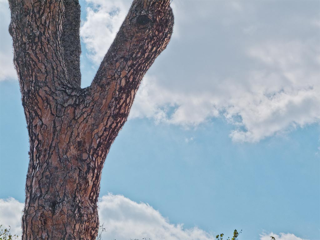 Lightroom-2012