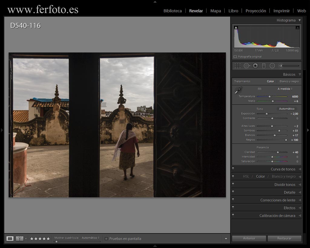 Panel Básicos Adobe Lightroom CC 2015
