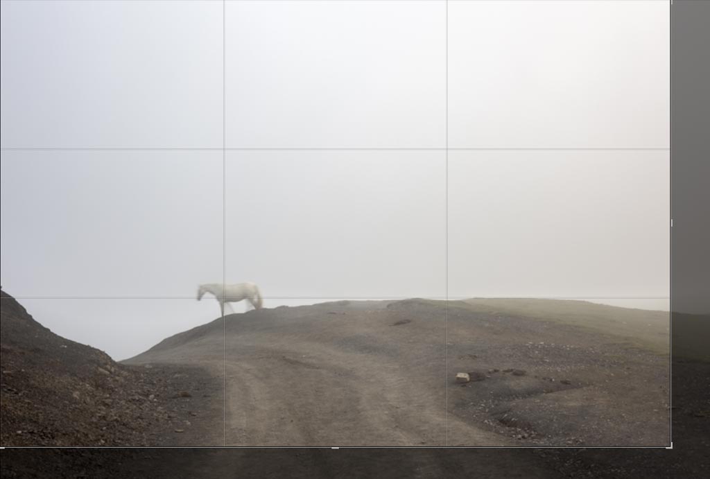 Composición en la fotografía