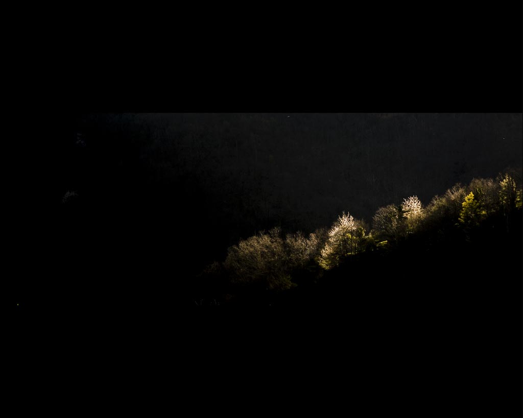 Composición en la fotografía