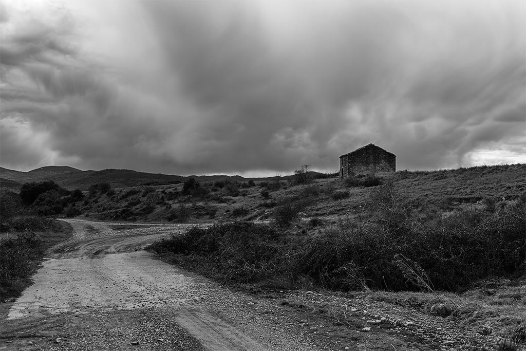 Silver Efex Pro 2