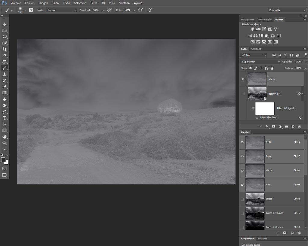 Silver Efex Pro 2