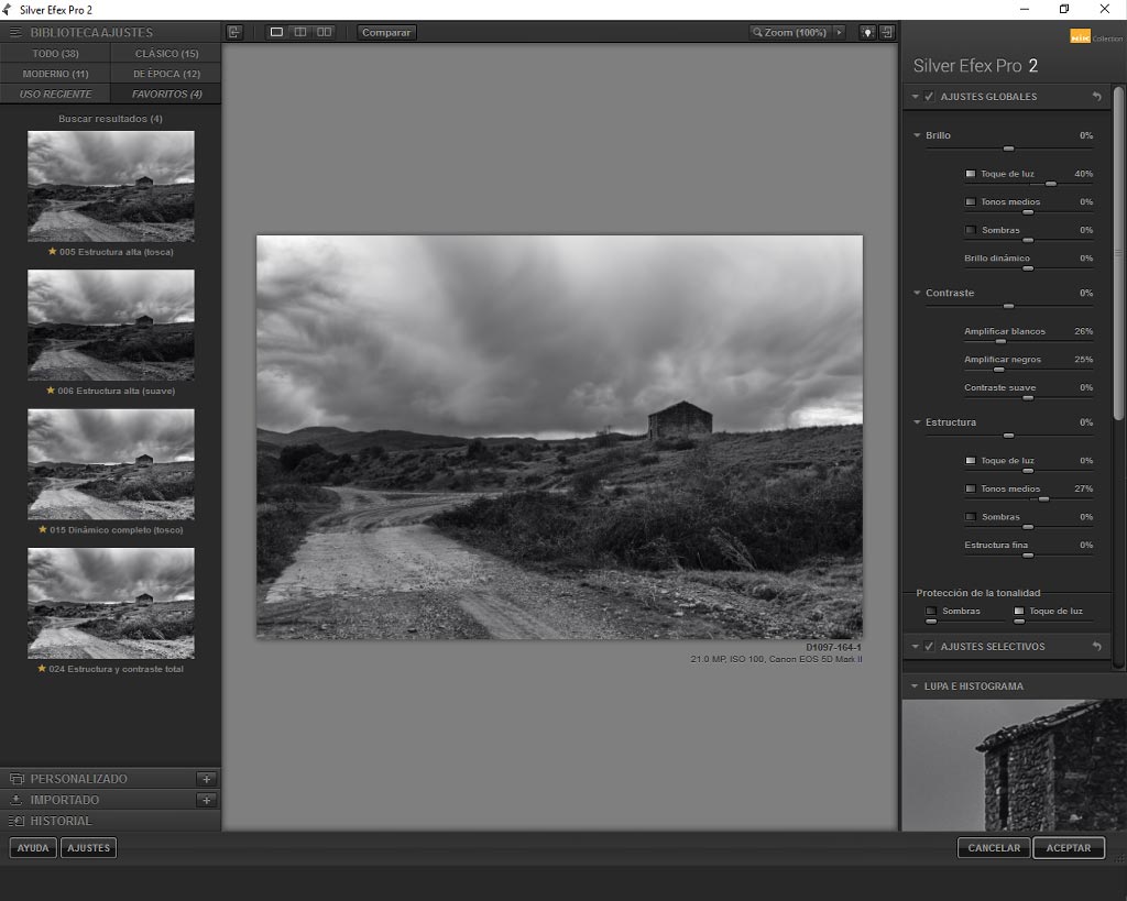 Silver Efex Pro 2