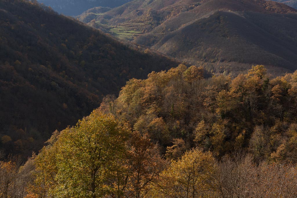 Crear un paisaje nevado con Adobe Photoshop