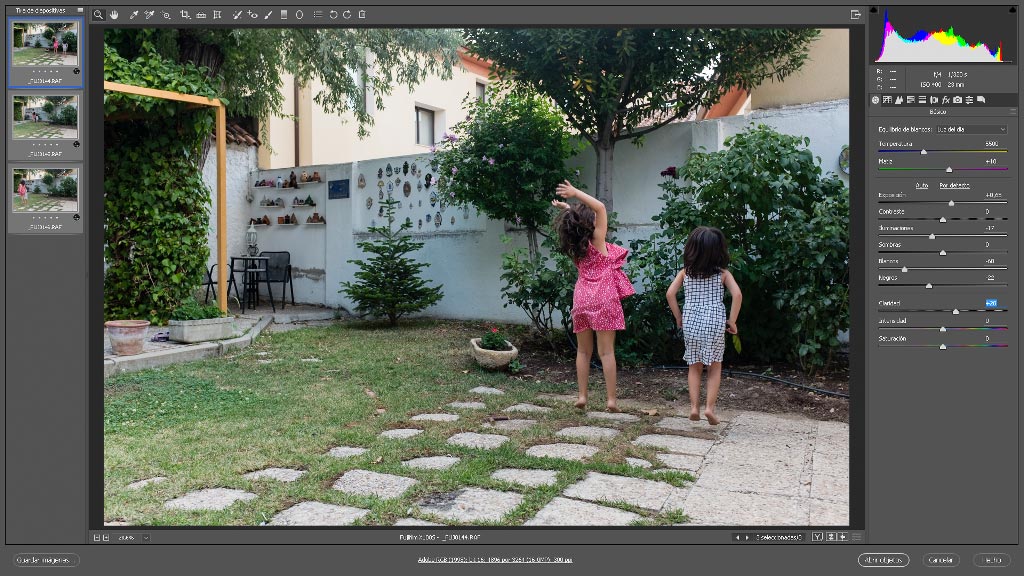 Multiplicarse en una fotografía