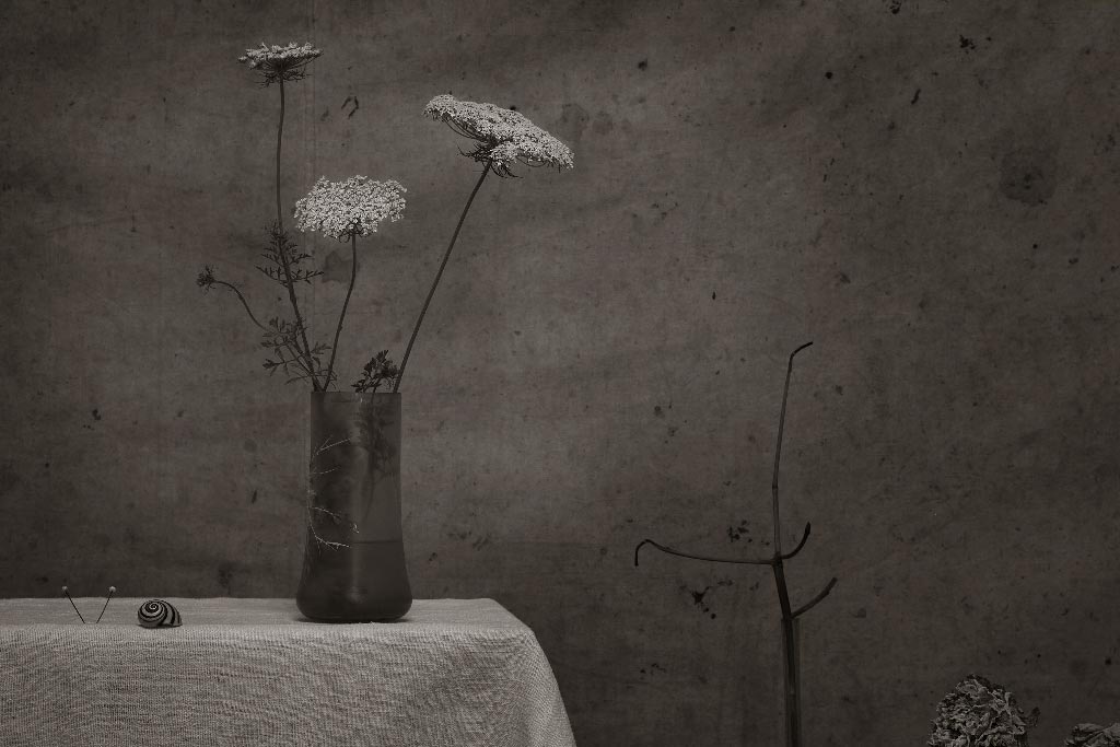Tony Catany