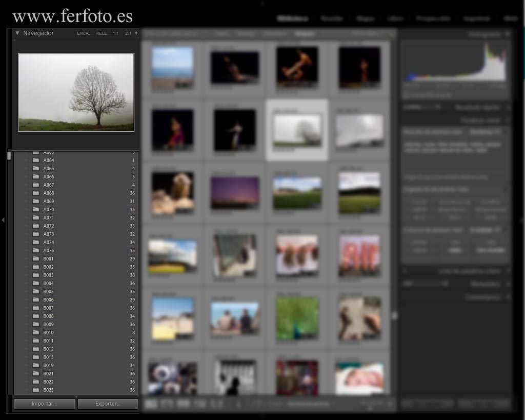 Organización del archivo fotográfico