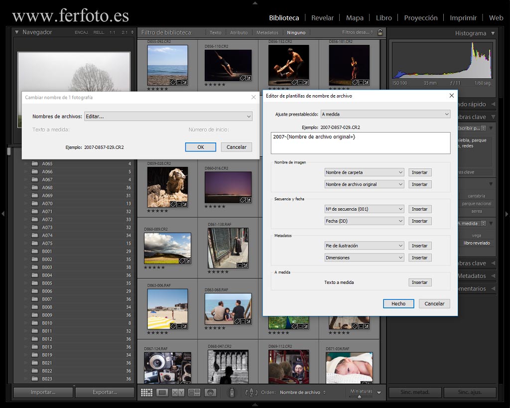 Organización del archivo fotográfico