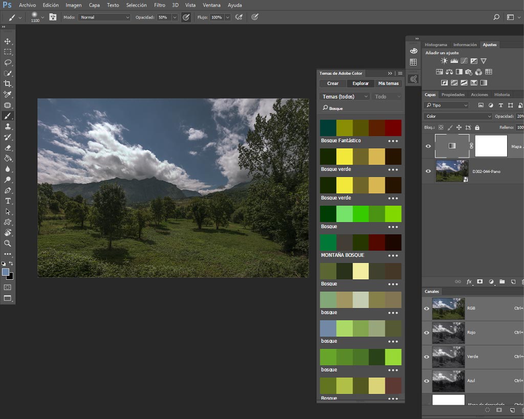Adobe Color