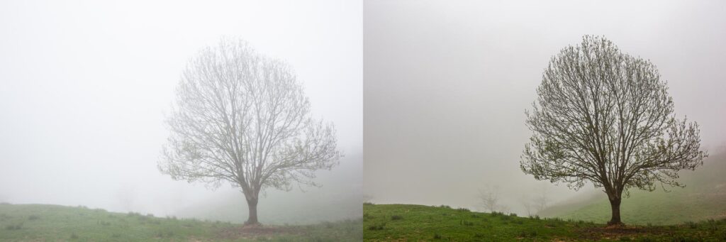 Taller de fotografía de paisaje