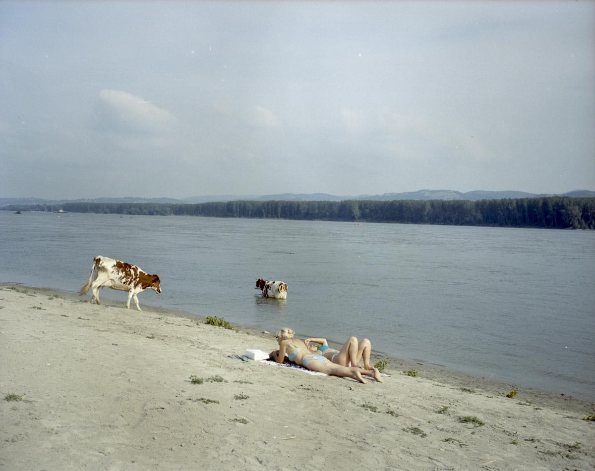 Tras lo pasos de Inge Morath