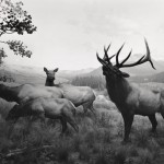 Hiroshi Sugimoto