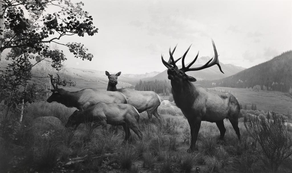 Hiroshi Sugimoto