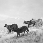 Hiroshi Sugimoto