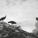 Hiroshi Sugimoto