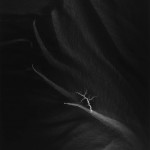 Hiroshi Sugimoto