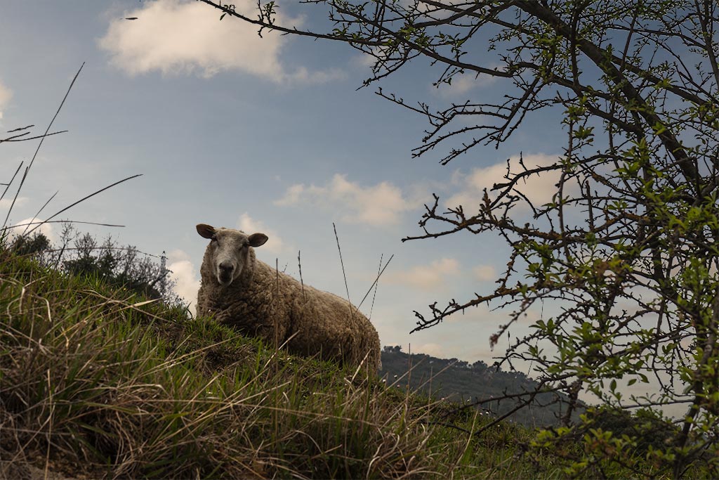 Cambiar el cielo de una fotografía