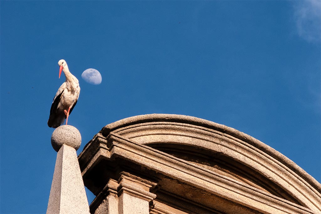 Taller de fotografía Alcalá de Henares