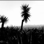 © Bruce Davidson / Magnum Photos