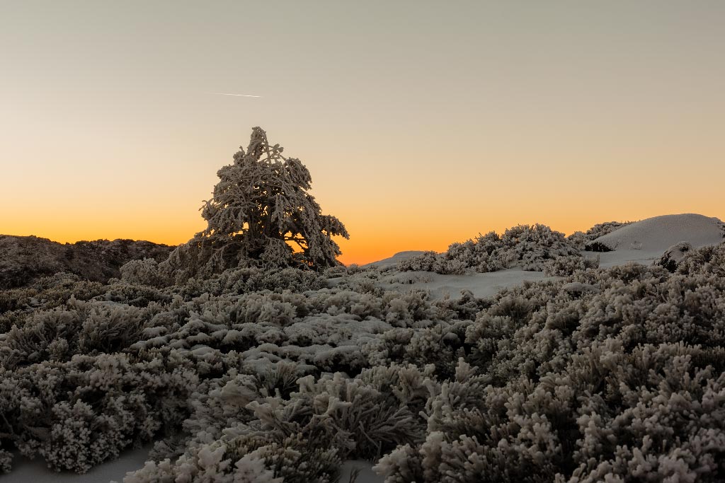Fotografía de montaña