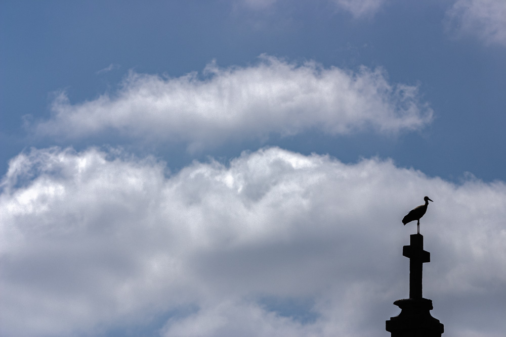Por la Plataforma Centro de Fotografía e Imagen en colaboración con la Universidad de Alcalá.