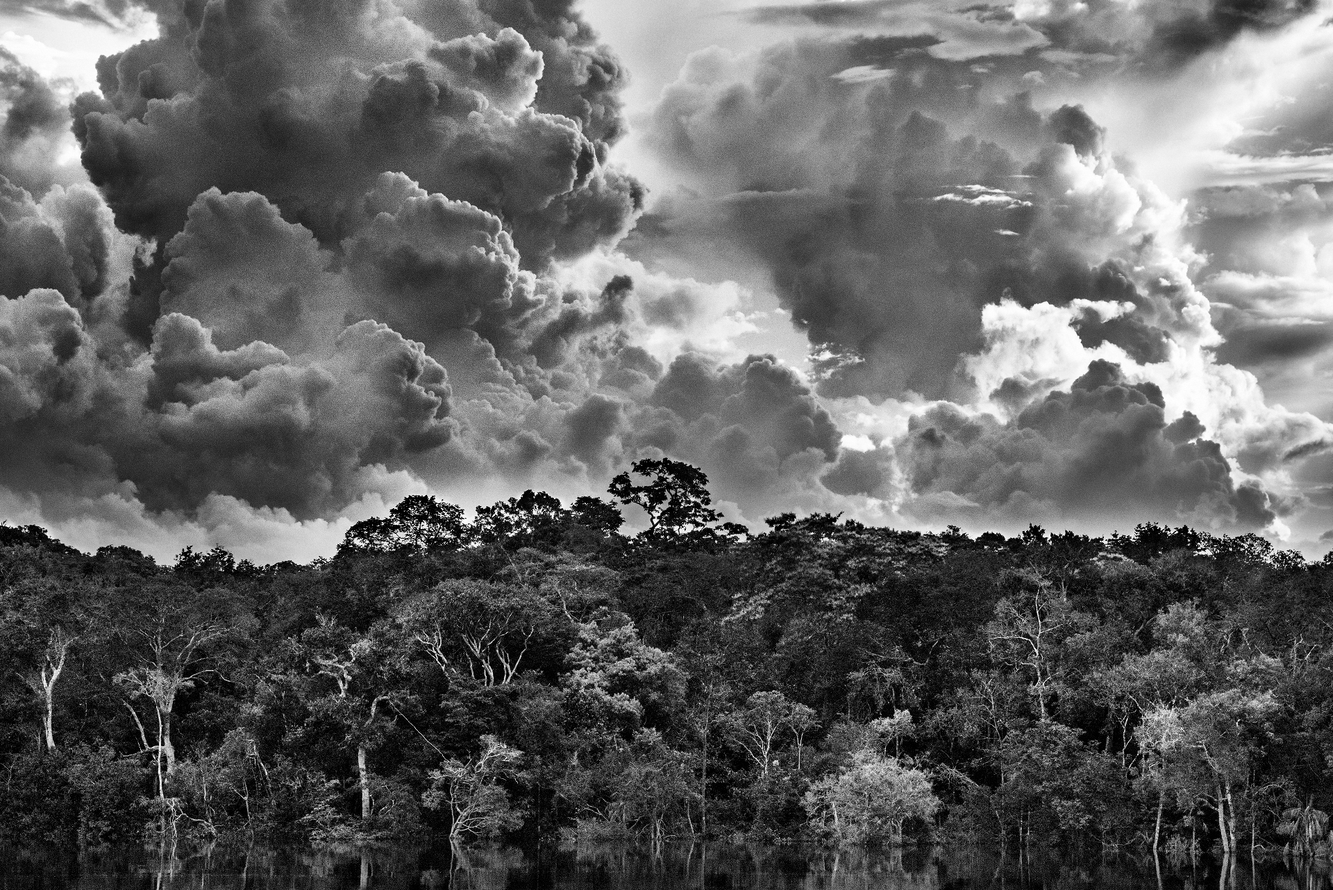 Sebastiao Salgado: Amazonia